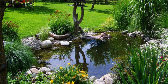 Grădină amenajată la munte cu iaz Proiectare și asistență Peisagistică, Amenajare grădină, Amenajare spatii verzi industriale, Rulouri de gazon, Sisteme de irigații profesionale, Iluminat arhitectural pentru grădină, Întreținere spații verzi, Defrisare terenuri, Acoperisuri verzi