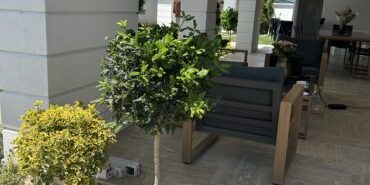 Proiectare și asistență Peisagistică, Amenajare grădină, Amenajare spatii verzi industriale, Rulouri de gazon, Sisteme de irigații profesionale, Iluminat arhitectural pentru grădină, Întreținere spații verzi, Defrisare terenuri, Acoperisuri verzi Proiectare și asistență Peisagistică, Amenajare grădină, Amenajare spatii verzi industriale, Rulouri de gazon, Sisteme de irigații profesionale, Iluminat arhitectural pentru grădină, Întreținere spații verzi, Defrisare terenuri, Acoperisuri verzi