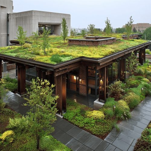 Proiectare și asistență Peisagistică, Amenajare grădină, Amenajare spatii verzi industriale, Rulouri de gazon, Sisteme de irigații profesionale, Iluminat arhitectural pentru grădină, Întreținere spații verzi, Defrisare terenuri, Acoperisuri verzi