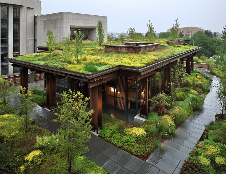 Proiectare și asistență Peisagistică, Amenajare grădină, Amenajare spatii verzi industriale, Rulouri de gazon, Sisteme de irigații profesionale, Iluminat arhitectural pentru grădină, Întreținere spații verzi, Defrisare terenuri, Acoperisuri verzi