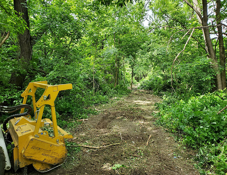 Proiectare și asistență Peisagistică, Amenajare grădină, Amenajare spatii verzi industriale, Rulouri de gazon, Sisteme de irigații profesionale, Iluminat arhitectural pentru grădină, Întreținere spații verzi, Defrisare terenuri, Acoperisuri verzi