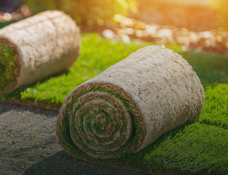 Proiectare și asistență Peisagistică, Amenajare grădină, Amenajare spatii verzi industriale, Rulouri de gazon, Sisteme de irigații profesionale, Iluminat arhitectural pentru grădină, Întreținere spații verzi, Defrisare terenuri, Acoperisuri verzi