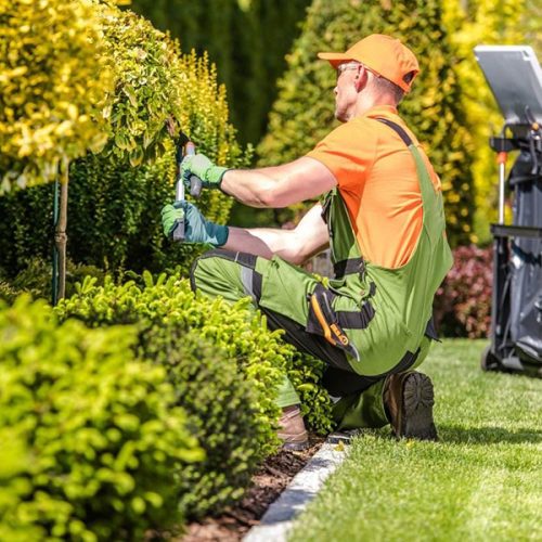 Proiectare și asistență Peisagistică, Amenajare grădină, Amenajare spatii verzi industriale, Rulouri de gazon, Sisteme de irigații profesionale, Iluminat arhitectural pentru grădină, Întreținere spații verzi, Defrisare terenuri, Acoperisuri verzi