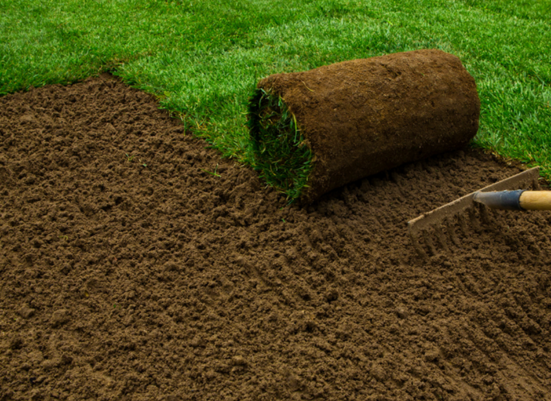 rulouei gazon, intretinare gazon, gazon rulat