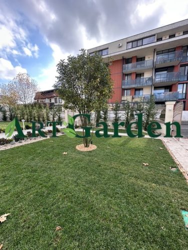 Proiectare și asistență Peisagistică, Amenajare grădină, Amenajare spatii verzi industriale, Rulouri de gazon, Sisteme de irigații profesionale, Iluminat arhitectural pentru grădină, Întreținere spații verzi, Defrisare terenuri, Acoperisuri verzi