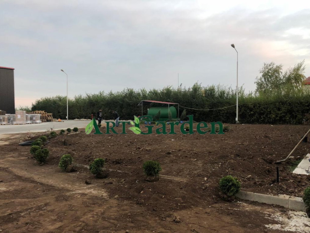 Proiectare și asistență Peisagistică, Amenajare grădină, Amenajare spatii verzi industriale, Rulouri de gazon, Sisteme de irigații profesionale, Iluminat arhitectural pentru grădină, Întreținere spații verzi, Defrisare terenuri, Acoperisuri verzi